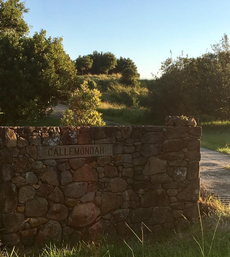 Lodge Callemondah With Stunning Views, In And Byron Hinterland Bangalow