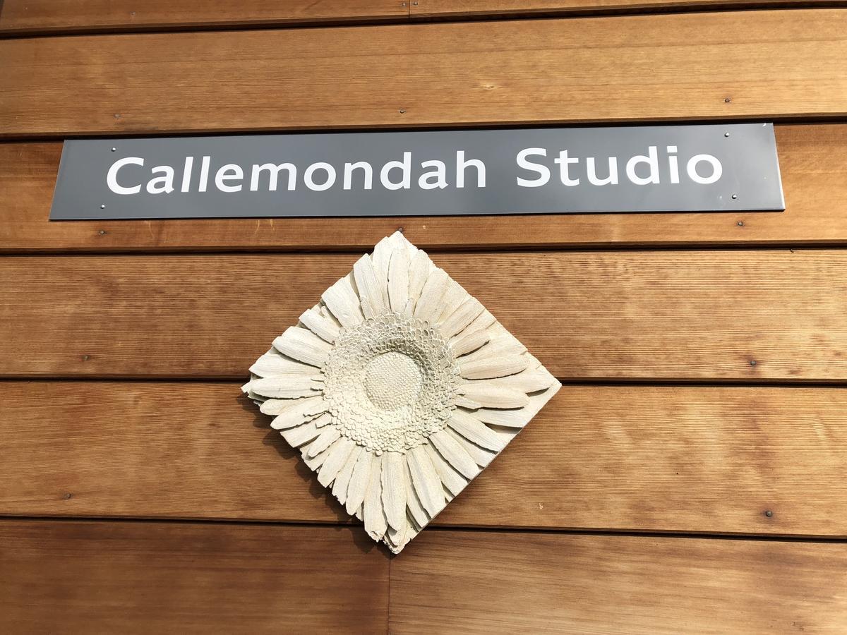 Lodge Callemondah With Stunning Views, In And Byron Hinterland Bangalow