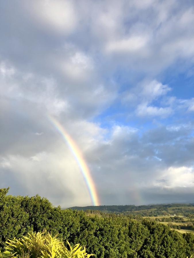 Callemondah With Stunning Views, In And Byron Hinterland Lodge